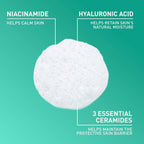 SlimBag CeraVe Foaming Facial Cleanser for oily skin with hyaluronic acid, ceramides, and niacinamide in a 8 oz bottle.