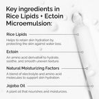 SlimBag The Ordinary Rice Lipids and Ectoin microemulsion moisturizer for dry skin, soothing hydration and barrier repair.
