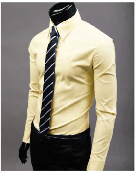 Men's Casual Long Sleeve Shirt