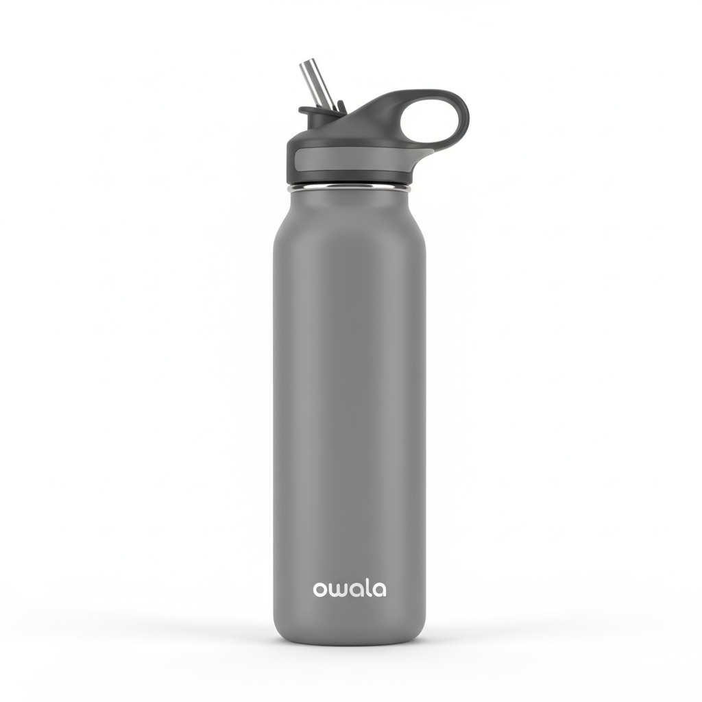 Owala FreeSip Slim 19oz Steel Grey
